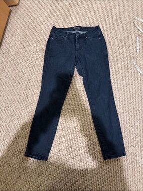 The Limited Dark Indigo Skinny Jeans